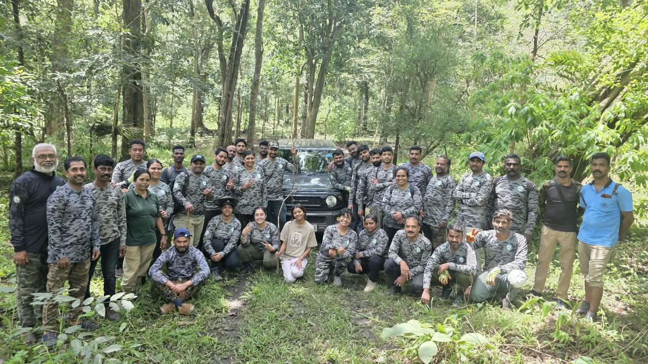 Forest restoration